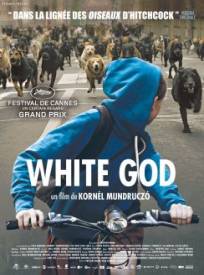 White God Fehr Isten