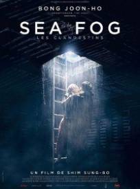 Sea Fog Les Clandestins