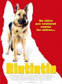 Rintintin Finding Rin Tin