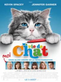 Ma Vie De Chat Nine Lives