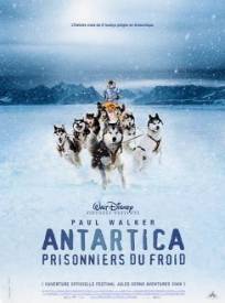 Antartica Prisonniers Du Froid Eight Below