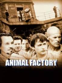 Animal Factory