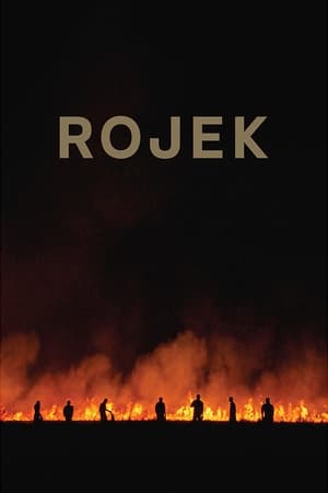 Rojek 2022