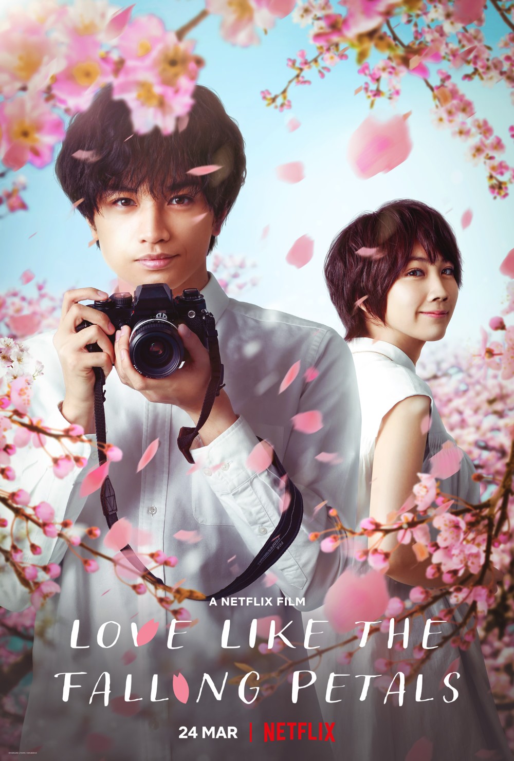 Love Like The Falling Petals