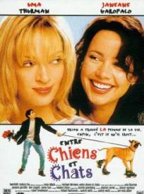 Entre Chiens Et Chats The