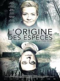 Lorigine Des Espegraveces