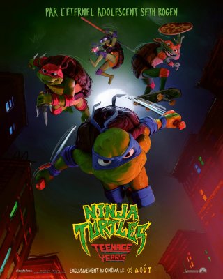 Ninja Turtles Teenage Years