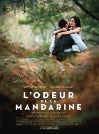 Lodeur De La Mandarine